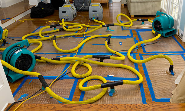 Professional Sewage Cleanup technician working in Levan, UT